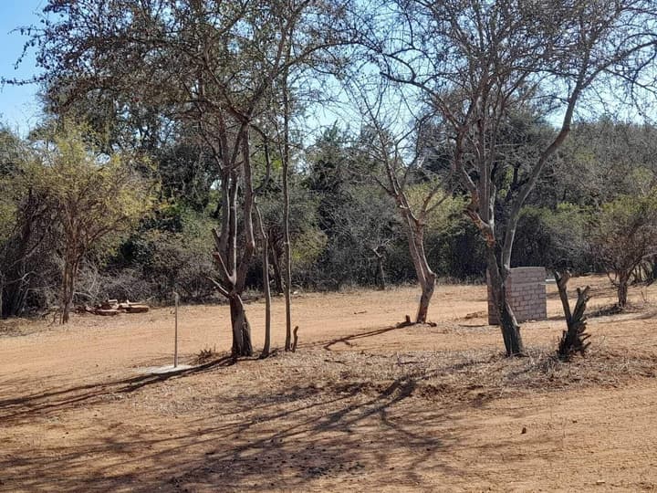 Bushriver Lodge