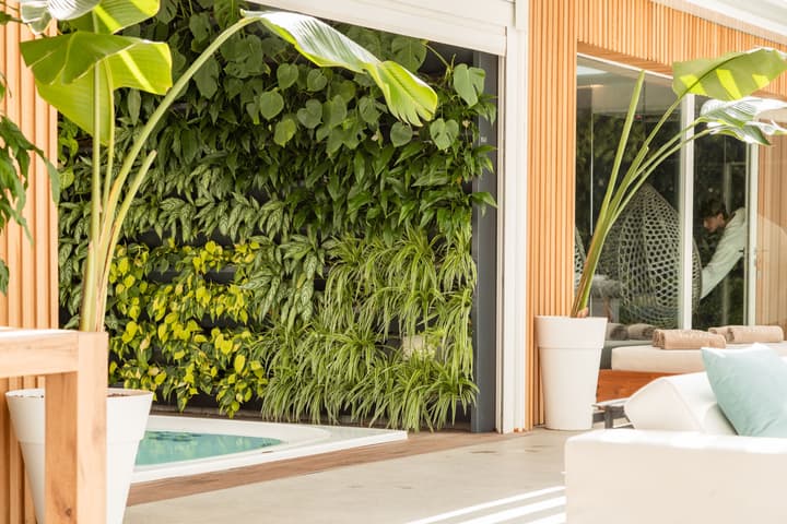 Plana Resort & SPA