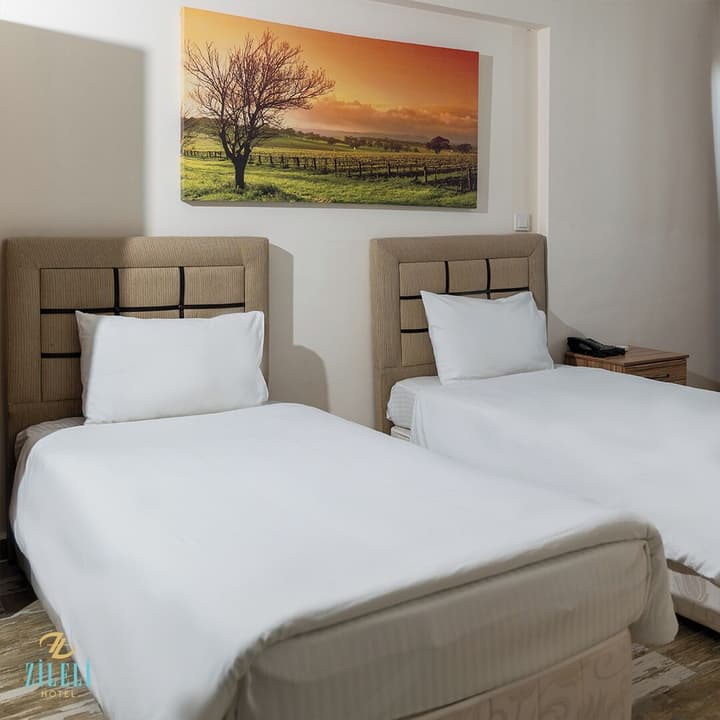 Hotel Zileli