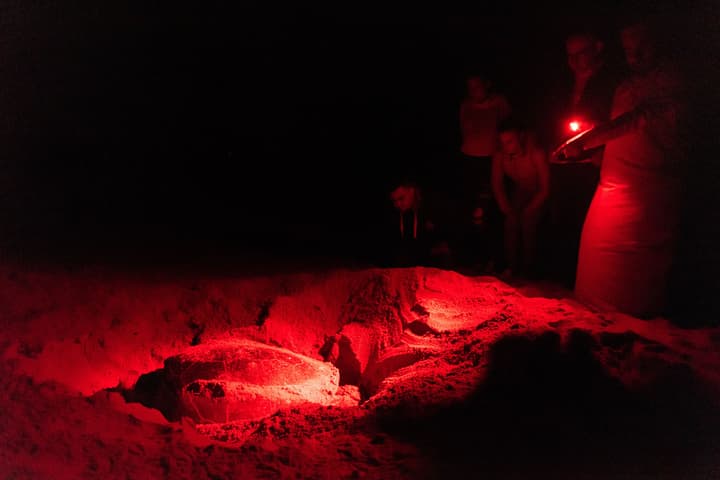 Ras Al Jinz Turtle Reserve