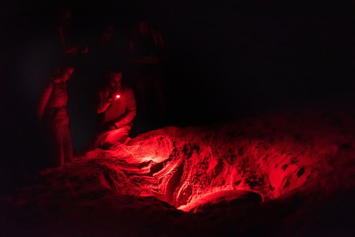 Ras Al Jinz Turtle Reserve