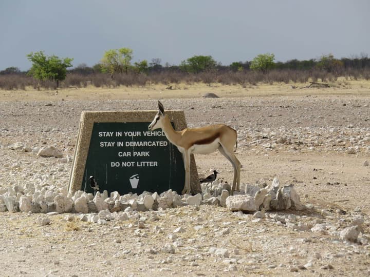 Etosha Safari Camp