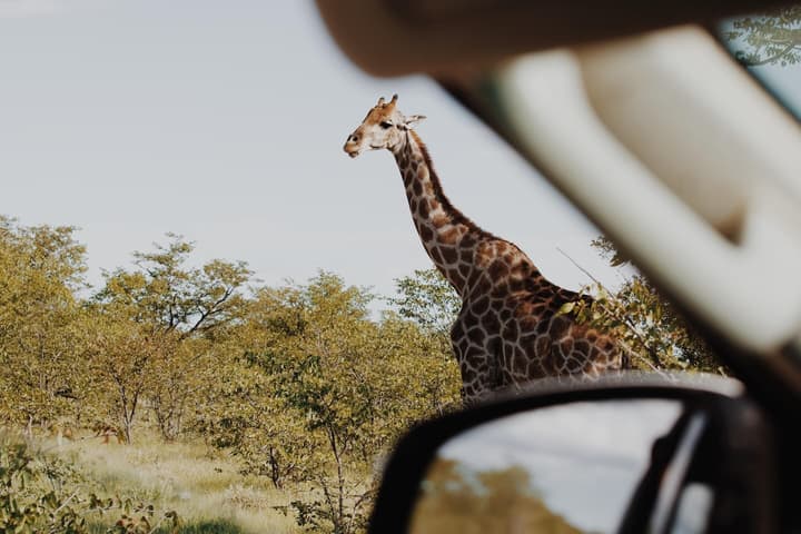 Etosha Safari Camp