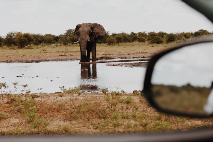 Etosha Safari Camp