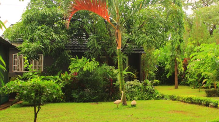 Gloria's Bed and Breakfast