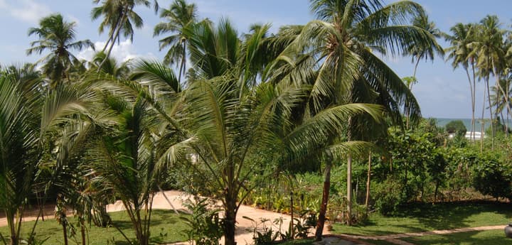 Wunderbar Beach Hotel