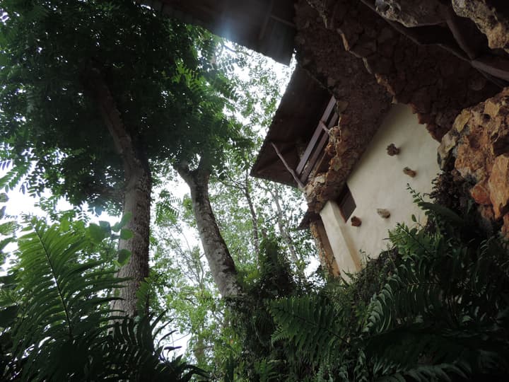 Altos de Caño Hondo