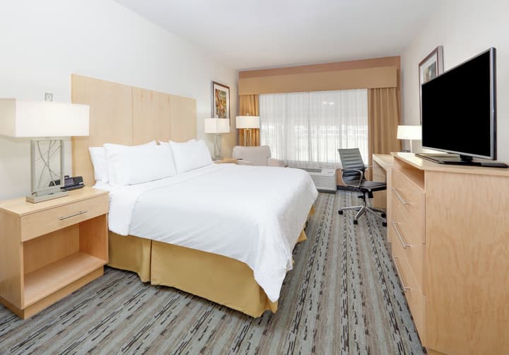 Holiday Inn Express & Suites San Antonio - Brooks City Base by IHG