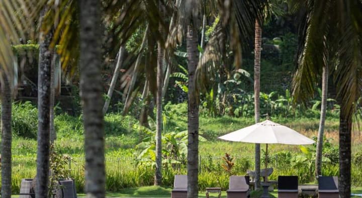 The Artini Dijiwa Ubud