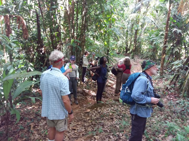 Danta Corcovado Lodge