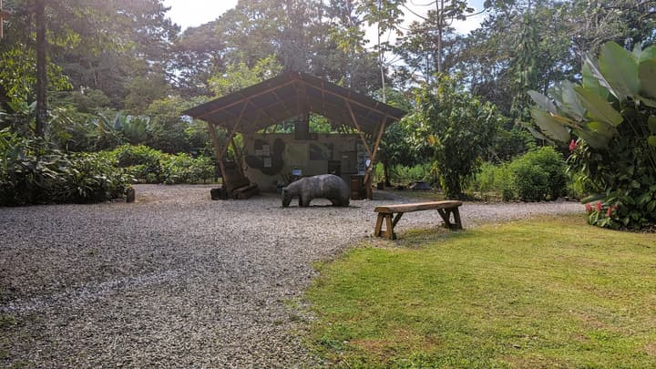 Danta Corcovado Lodge