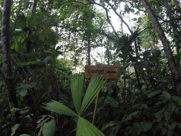 Danta Corcovado Lodge