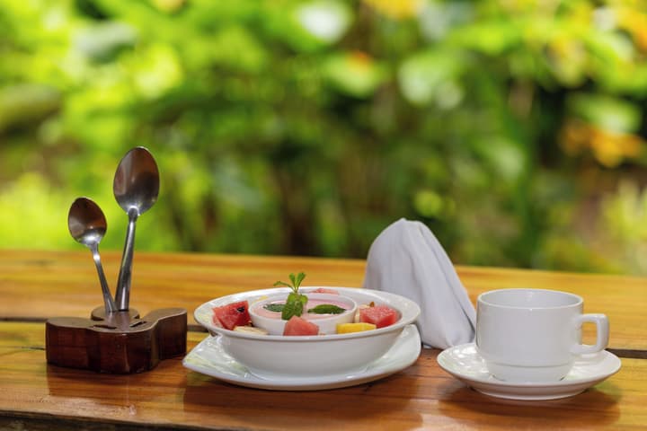 Danta Corcovado Lodge