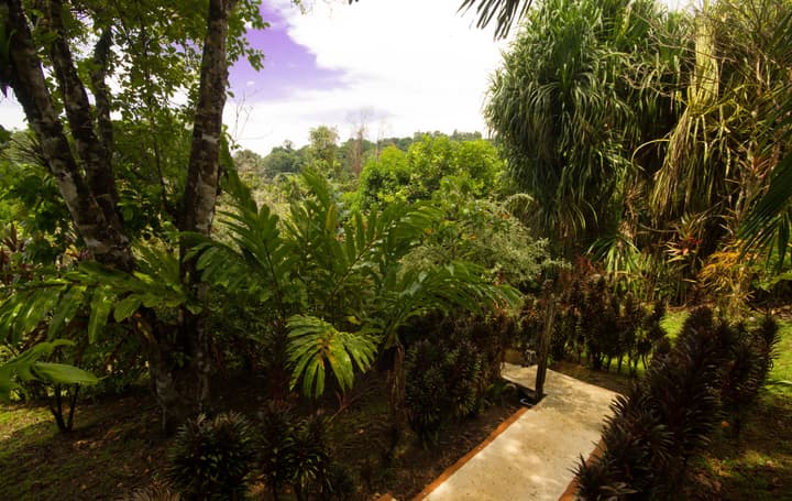 Rancho Corcovado Lodge