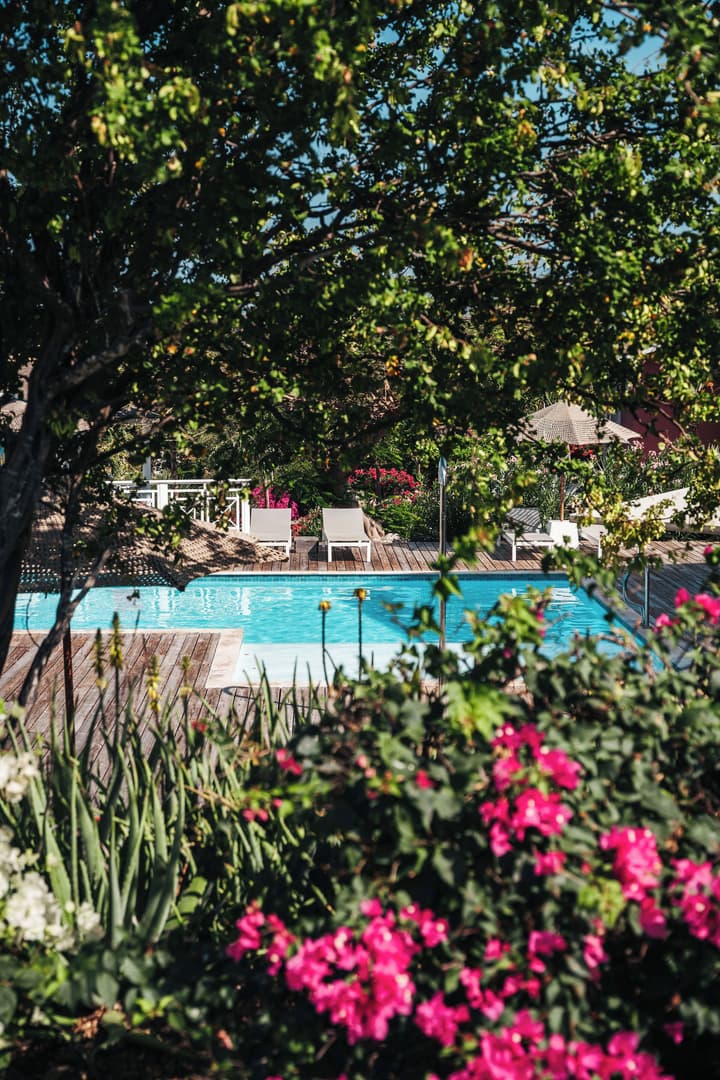 Chogogo Dive & Beach Resort Curacao