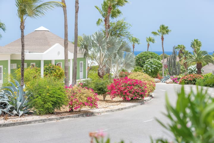 Chogogo Dive & Beach Resort Curacao