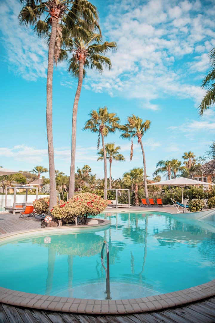 Chogogo Dive & Beach Resort Curacao