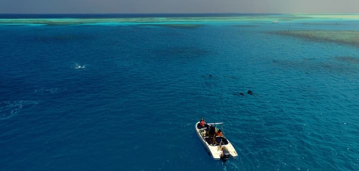 Fihalhohi Island Resort