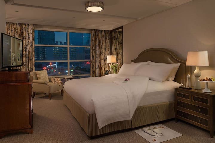 Discovery Primea