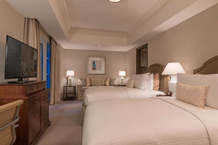 Discovery Primea