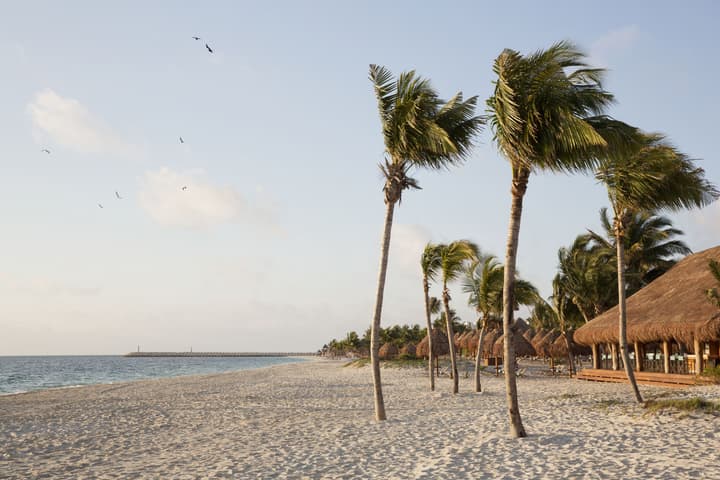 Finest Playa Mujeres by The Excellence Collection - All Inclusive
