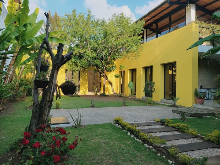Jardines de Luz