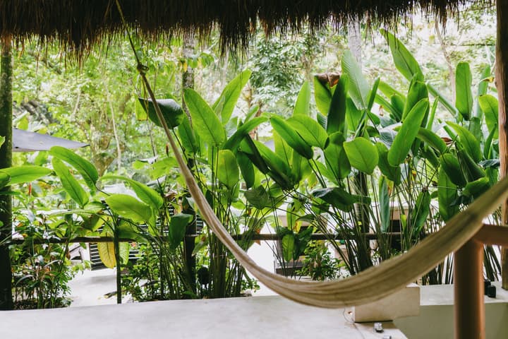 Piedra de Agua Hotel Boutique Palenque
