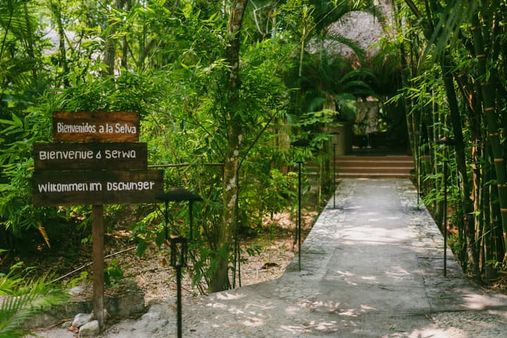 Piedra de Agua Hotel Boutique Palenque