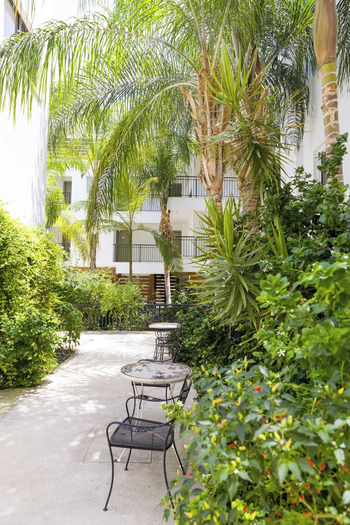 Alecos Hotel Apartments