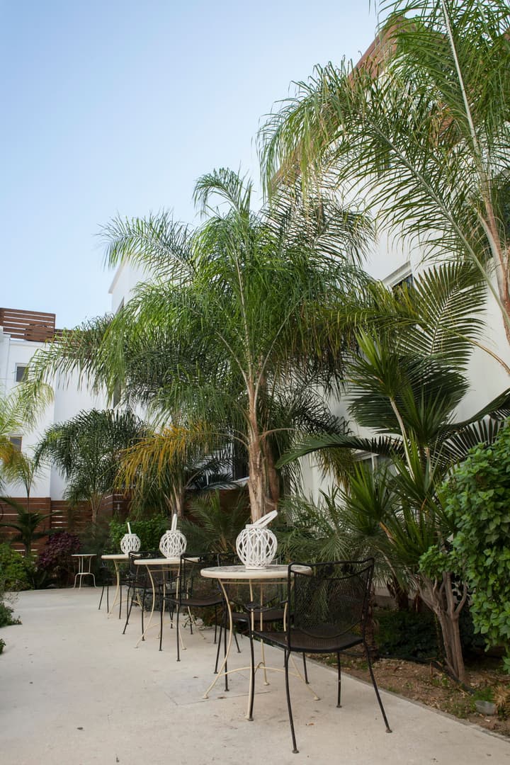 Alecos Hotel Apartments