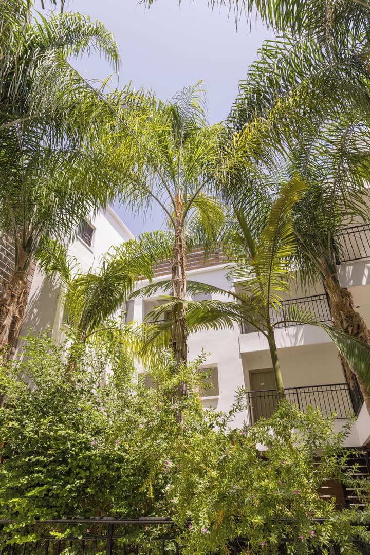 Alecos Hotel Apartments