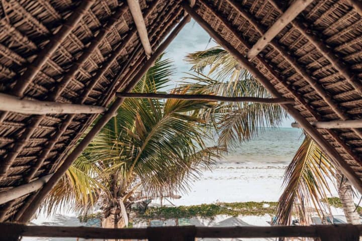 Sahari Zanzibar