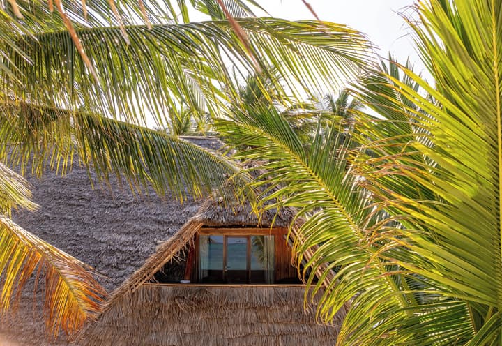 Sahari Zanzibar