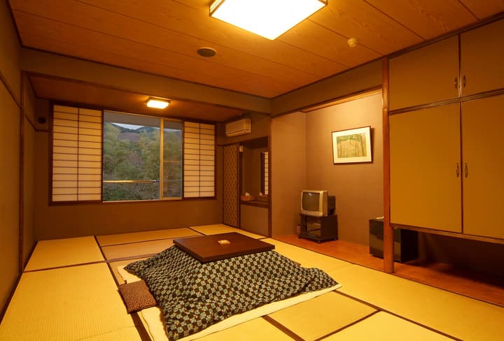 Mount View Hakone