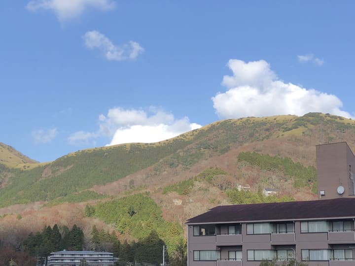 Mount View Hakone