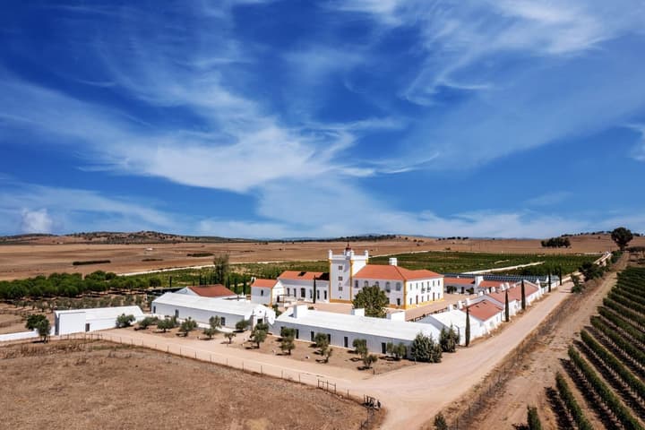 Torre de Palma Wine Hotel, Monforte, a Member of Design Hotels