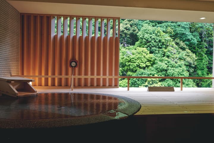 Hakone Pax Yoshino