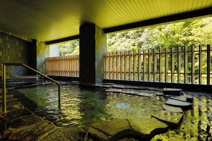 Hakone Pax Yoshino