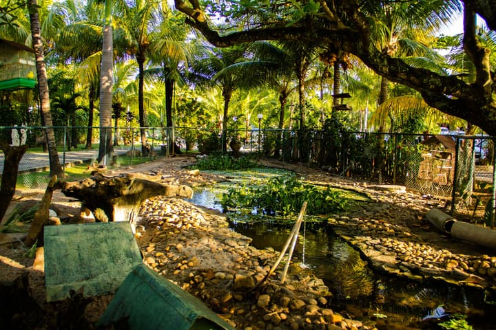 Catussaba Suítes Resort