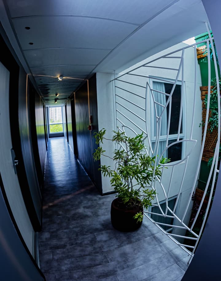 The Hotel