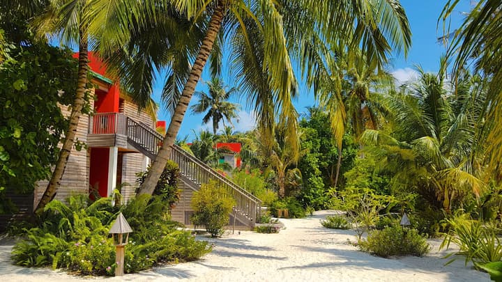 The Barefoot Eco Hotel