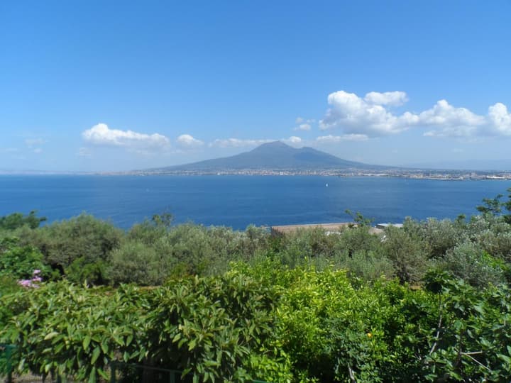 Ancelle Sorrento