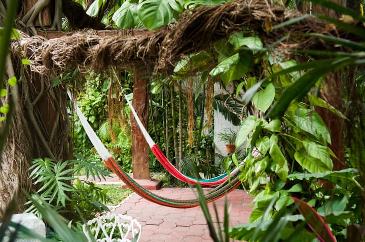 Eco-Hotel El Rey del Caribe