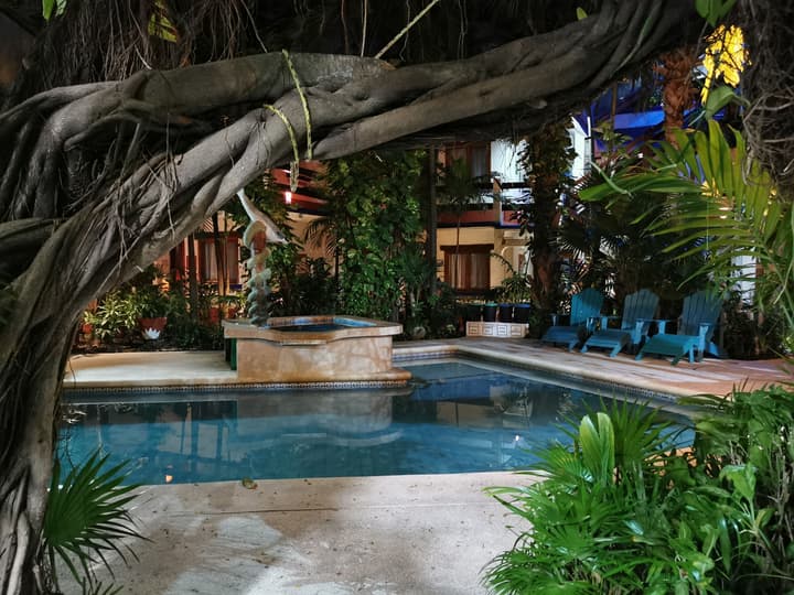 Eco-Hotel El Rey del Caribe