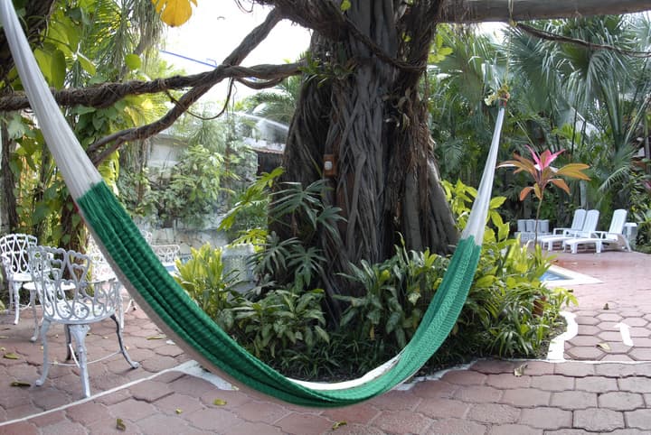 Eco-Hotel El Rey del Caribe