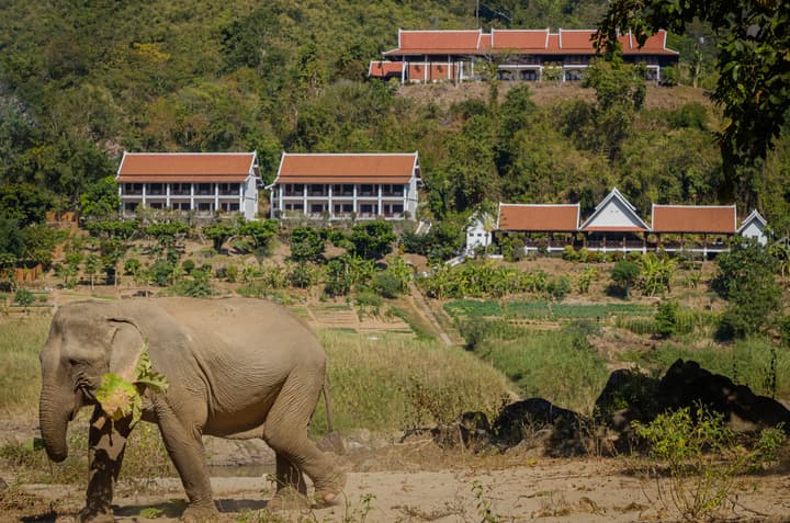 Sanctuary Pakbeng Lodge