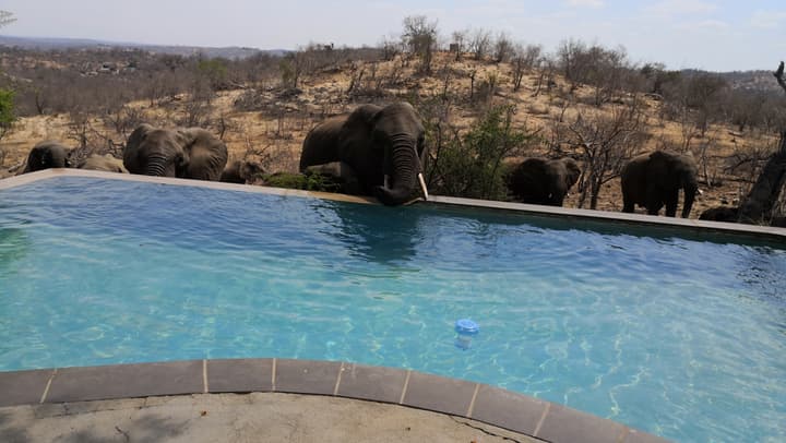 Mbizi Bush Lodge
