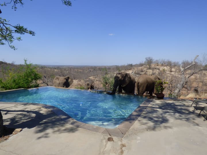 Mbizi Bush Lodge