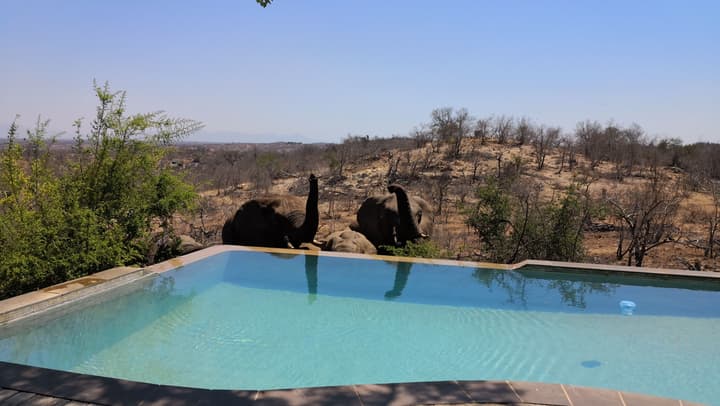 Mbizi Bush Lodge
