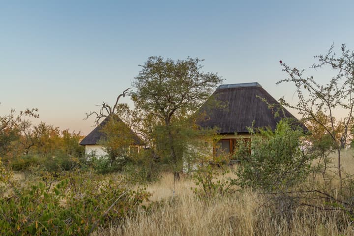 Mbizi Bush Lodge